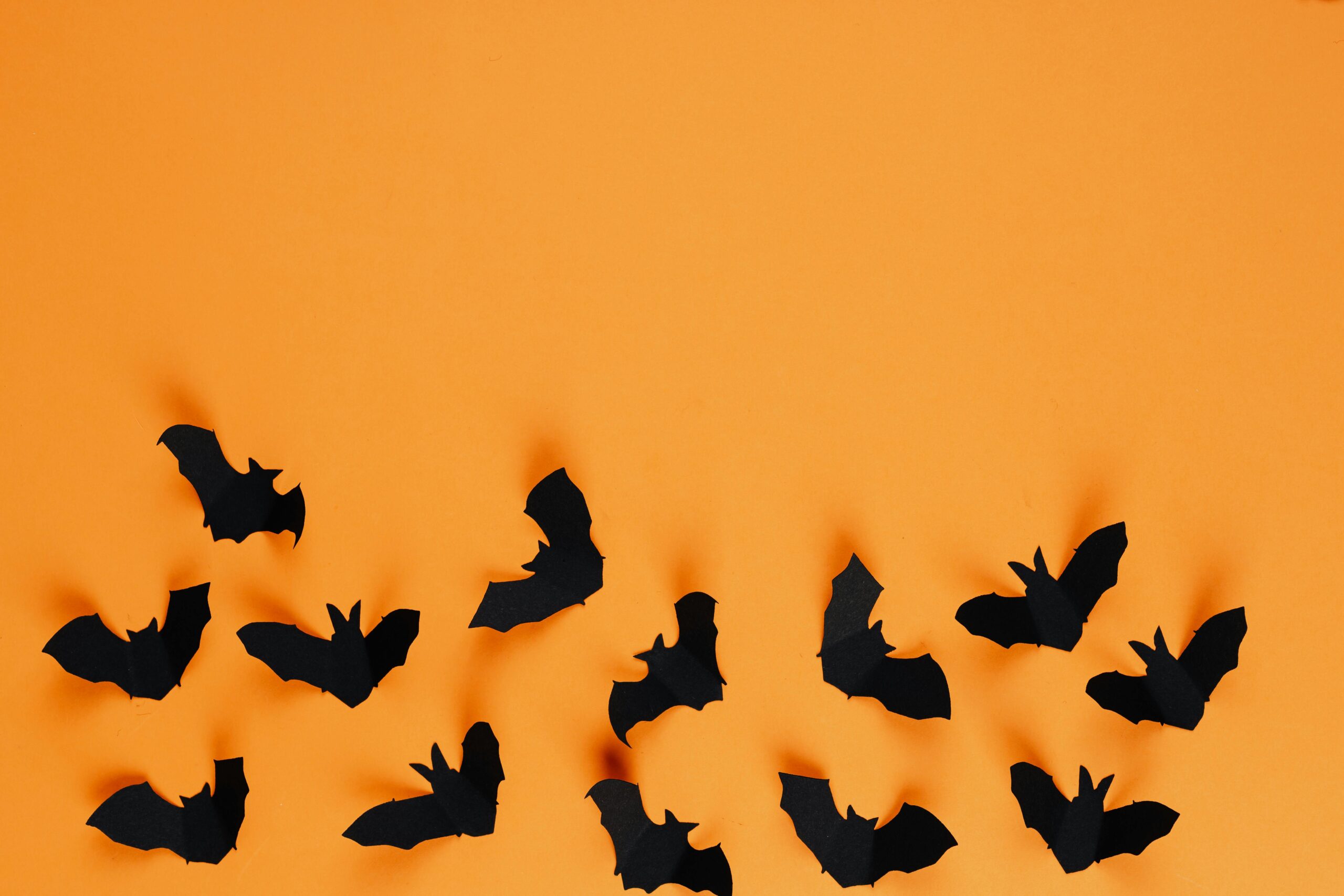 A stock image of black fabric bats on an orange background.